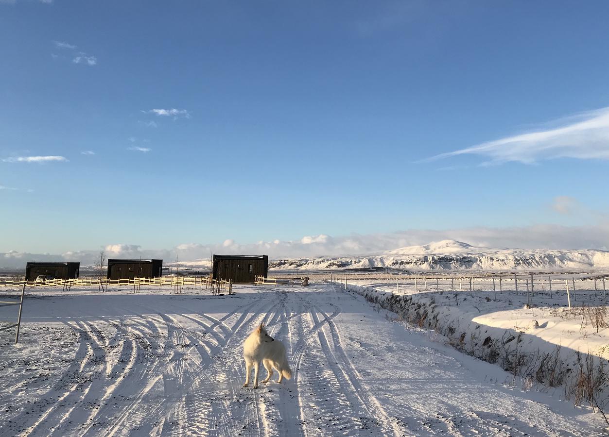 Akurgerthi Guesthouse 6 - Country Life Style Olfus エクステリア 写真